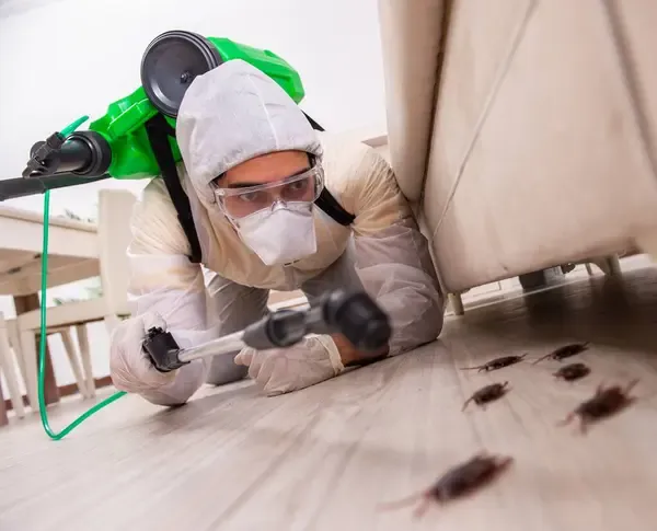 Pest Control Balzac