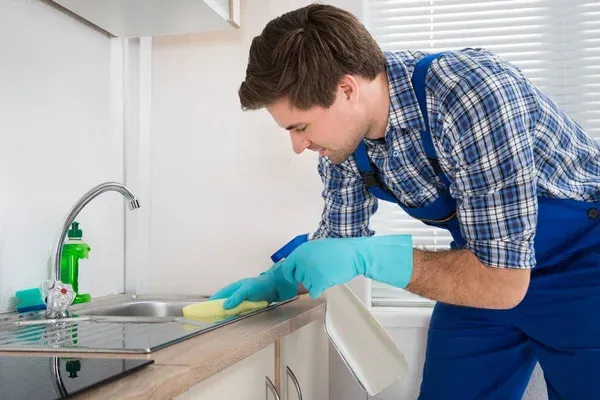 Pest Control Devon