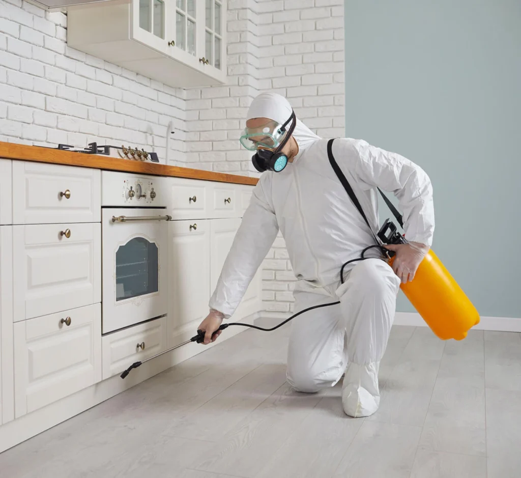 Pest Control De Winton