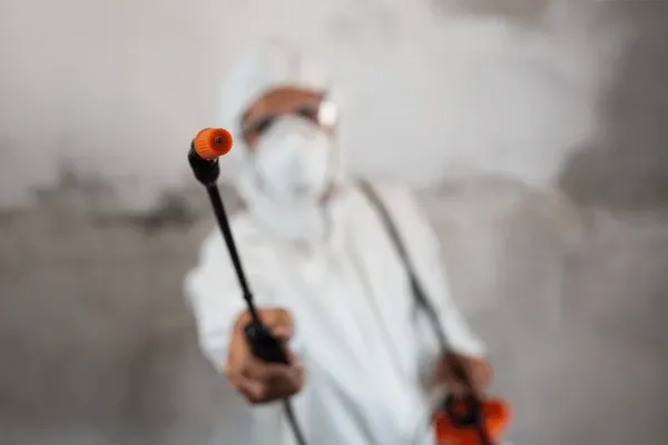 Pest Control Beaumont