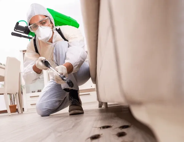 Pest Control Edmonton