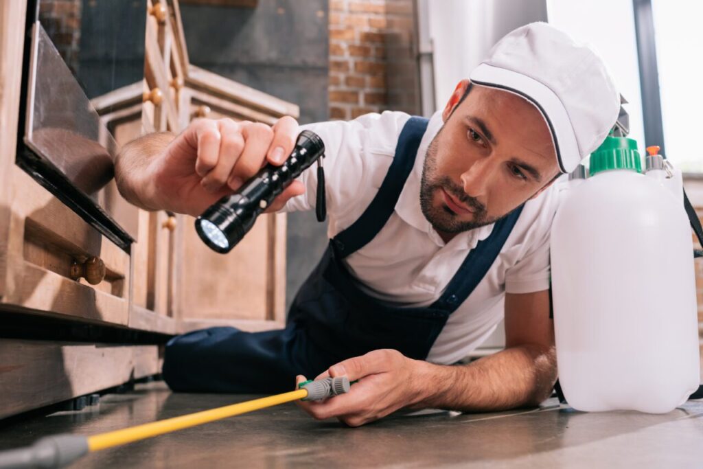 pest Control in St Albert