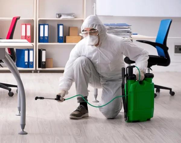 Pest Control Gibbons